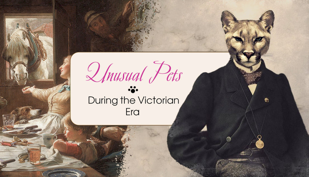 18 Unusual Pets That Were A Sign Of Class During The Victorian Era